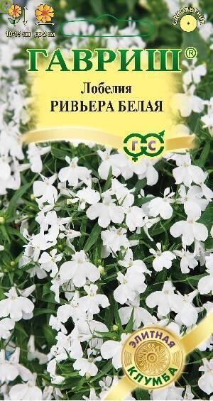 Купить оптом в Ботанике семена Лобелия Ривьера белая Гав бренд Гавриш
