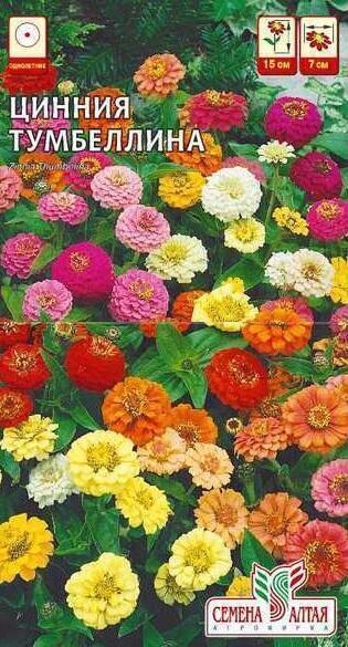 Купить оптом в Ботанике семена Цинния Тумбеллина СА бренд Семена Алтая