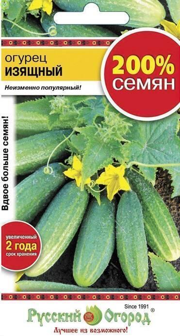 Купить оптом в Ботанике семена Огурец Изящный 200% НК бренд НК