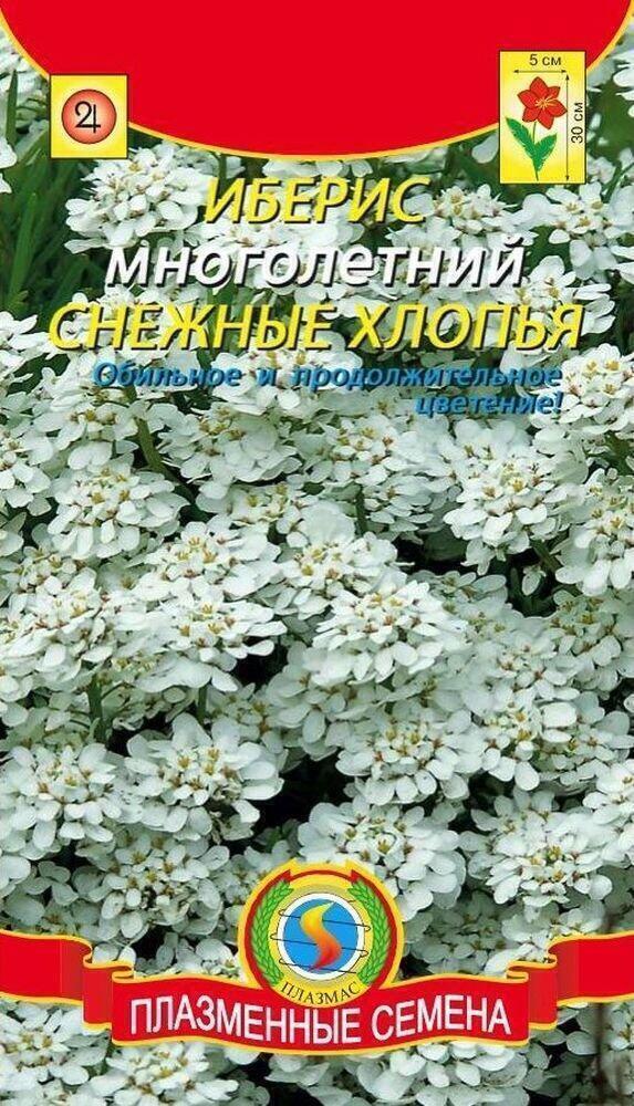 Купить оптом в Ботанике семена Иберис многолетний Плз бренд Плазмас