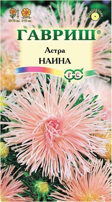 Купить оптом в Ботанике семена Астра Наина игольчатая Гав бренд Гавриш