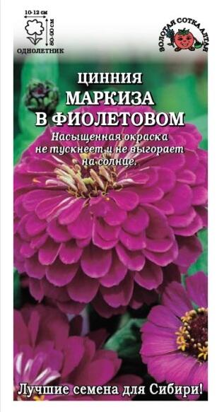 Купить оптом в Ботанике семена Цинния Маркиза в Фиолетовом ЗС бренд Золотая сотка