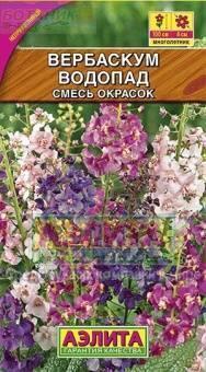 Купить оптом в Ботанике семена Вербаскум Водопад смесь Аэл бренд Аэлита