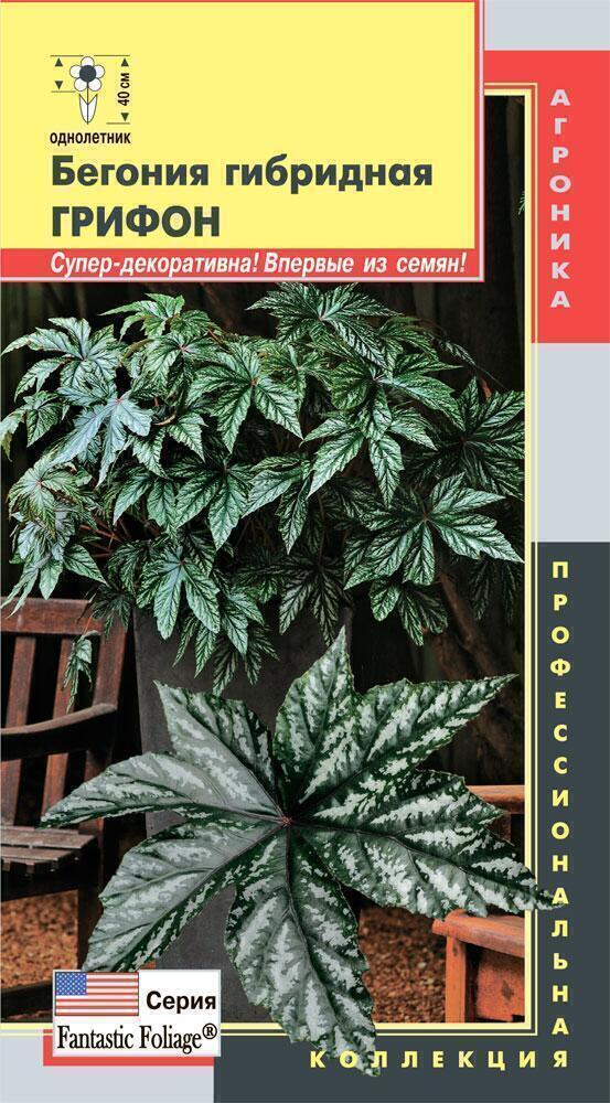 Купить оптом в Ботанике семена Бегония Грифон гибридная Плз бренд Плазмас