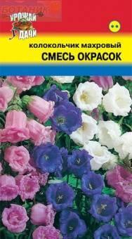 Купить оптом в Ботанике семена Колокольчик Махровый смесь УУ бренд Урожай Удачи