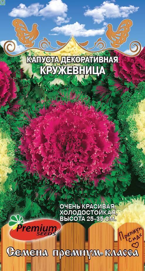 Купить оптом в Ботанике семена Капуста декоративная Кружевница ПС бренд Премиум Сидс