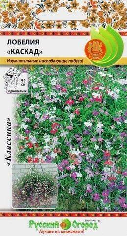 Купить оптом в Ботанике семена Лобелия Каскад смесь НК бренд НК