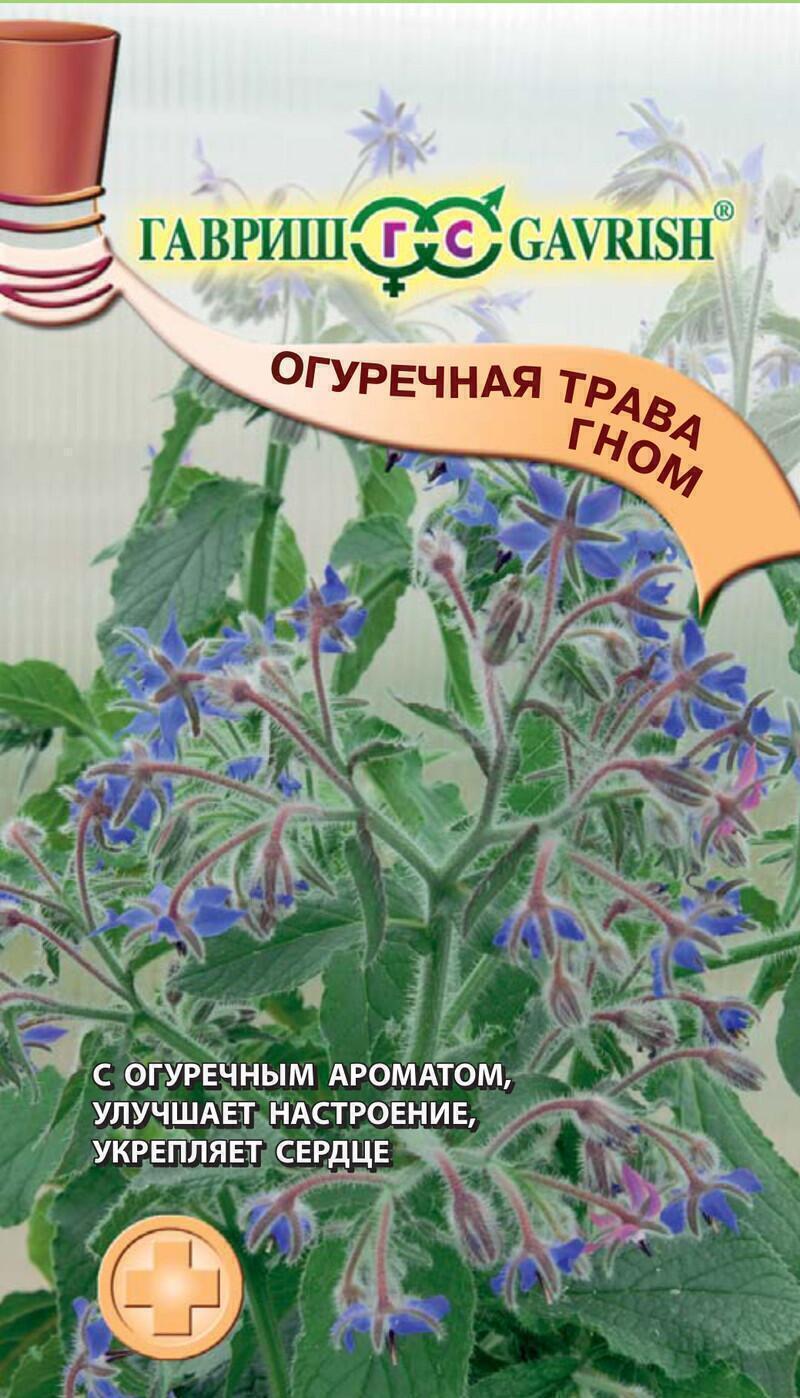 Купить оптом в Ботанике семена Бораго Гном Гав бренд Гавриш