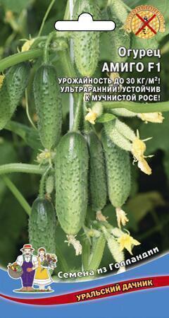 Купить оптом в Ботанике семена Огурец Амиго F1 УД бренд Уральский дачник