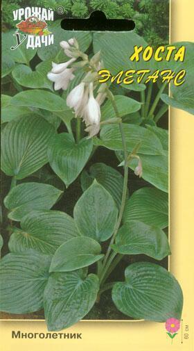 Купить оптом в Ботанике семена Хоста Элеганс УУ бренд Урожай Удачи