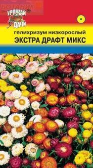 Купить оптом в Ботанике семена Гелихризум Экстра Драфт микс УУ бренд Урожай Удачи