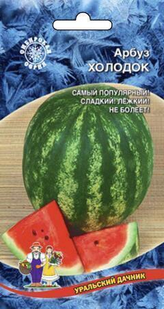 Купить оптом в Ботанике семена Арбуз Холодок УД бренд Уральский дачник