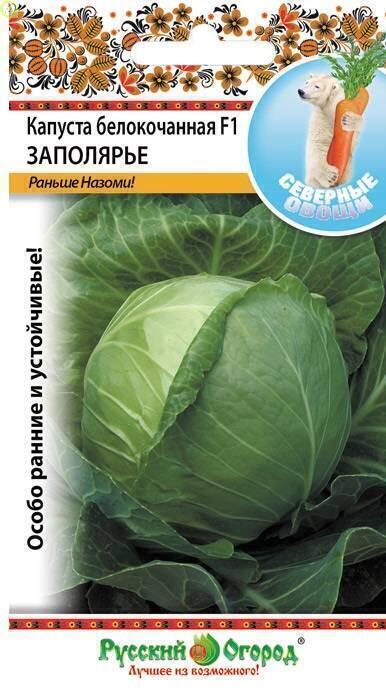 Купить оптом в Ботанике семена Капуста белокочанная Заполярье F1 НК бренд НК