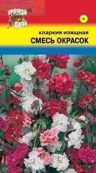 Купить оптом в Ботанике семена Кларкия Смесь окрасок УУ бренд Урожай Удачи