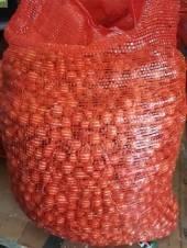 В продажу поступил лук-севок Штуттгартер Ризен производство РФ