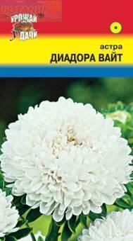 Купить оптом в Ботанике семена Астра Диадора вайт УУ бренд Урожай Удачи
