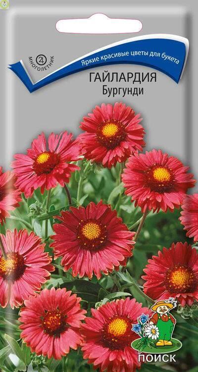 Купить оптом в Ботанике семена Гайлардия Бургунди Поиск бренд Поиск