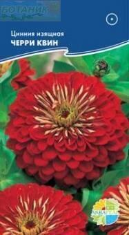 Купить оптом в Ботанике семена Цинния изящная Черри Квин Акв бренд Акварель