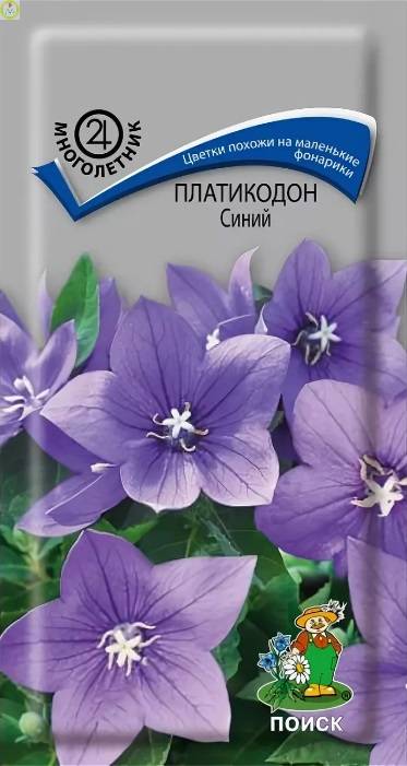 Купить оптом в Ботанике семена Платикодон Синий Поиск бренд Поиск