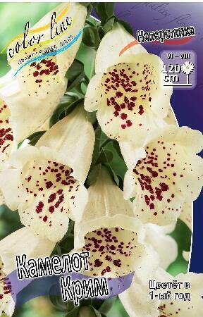 Купить оптом в Ботанике Наперстянка Камелот Крим 2 шт