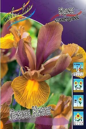 Купить оптом в Ботанике Ирис Лион Кинг 10 шт