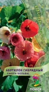 Семена Абутилон гибридный Смесь Бельвю