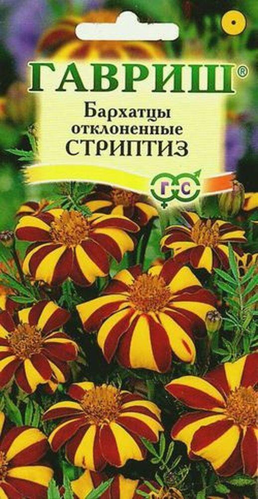 Купить оптом в Ботанике семена Бархатцы Стриптиз отклонённые Гав бренд Гавриш