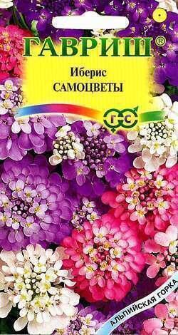 Купить оптом в Ботанике семена Иберис Самоцветы Гав бренд Гавриш
