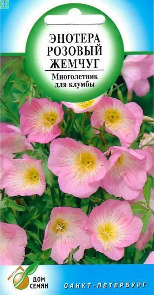 Купить оптом в Ботанике семена Энотера Розовый Жемчуг ССО бренд Сортсемовощ