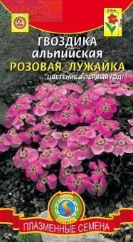 Купить оптом в Ботанике семена Гвоздика Розовая лужайка альпийская Плз бренд Плазмас