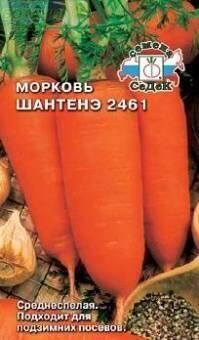 Купить оптом в Ботанике семена Морковь Шантанэ 2461 Сед бренд СеДеК