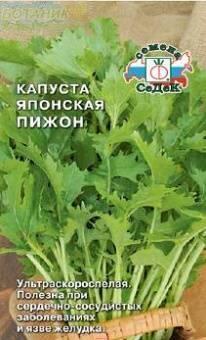 Купить оптом в Ботанике семена Капуста японская Пижон Сед бренд СеДеК