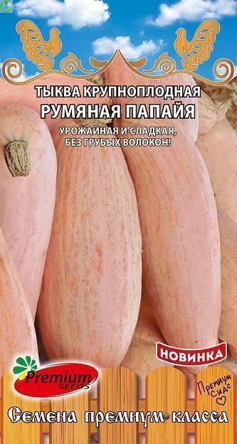 Купить оптом в Ботанике семена Тыква Румяная папайя ПС бренд Премиум Сидс