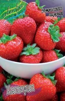 Купить оптом в Ботанике Земляника садовая Ханиуан 5 шт