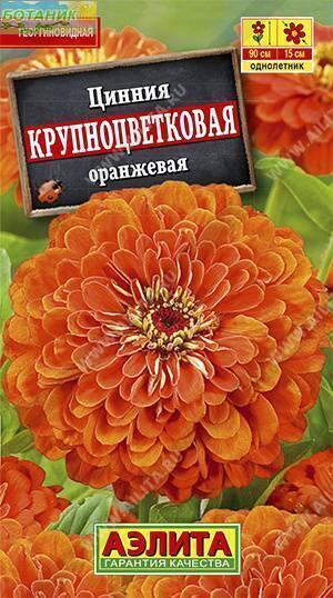 Купить оптом в Ботанике семена Цинния Крупноцветковая оранжевая* Аэл бренд Аэлита