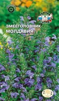 Купить оптом в Ботанике семена Змееголовник Молдавия Сед бренд СеДеК