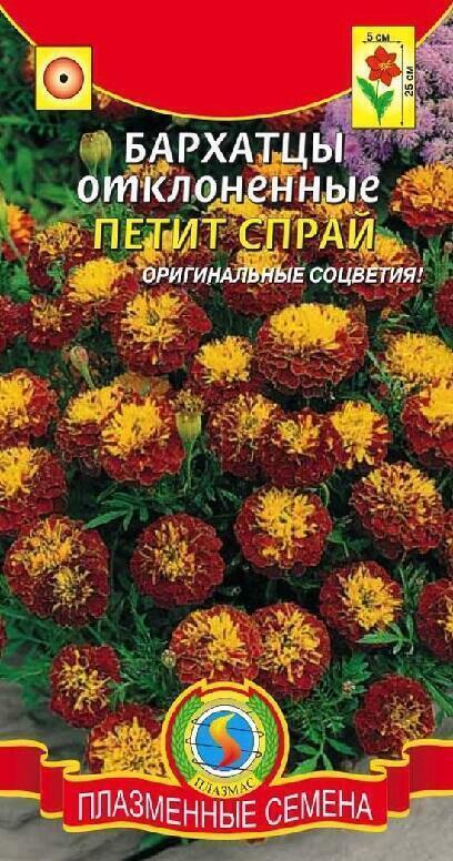 Купить оптом в Ботанике семена Бархатцы Малыш петит спрай Плз бренд Плазмас