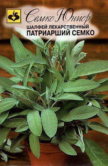 Купить оптом в Ботанике семена Шалфей Патриарший Сем бренд Семко