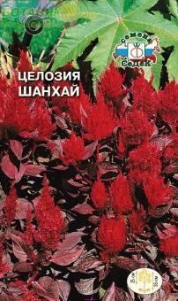 Купить оптом в Ботанике семена Целозия Шанхай Сед бренд СеДеК
