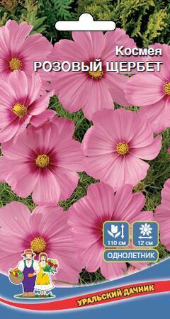 Купить оптом в Ботанике семена Космея Розовый щербет УД бренд Уральский дачник