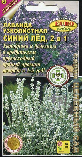 Купить оптом в Ботанике семена Лаванда Синий лед Аэл бренд Аэлита