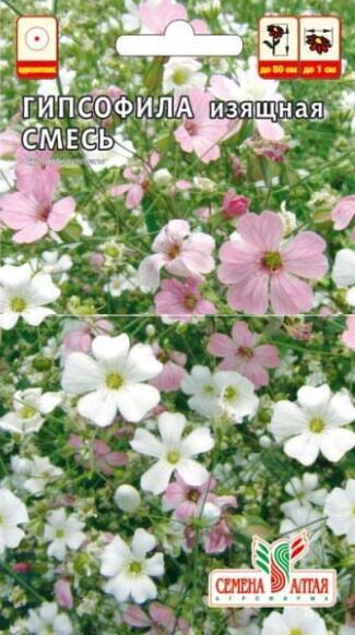 Купить оптом в Ботанике семена Гипсофила Изящная смесь СА бренд Семена Алтая