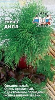 Купить оптом в Ботанике семена Укроп Дилл Сед бренд СеДеК
