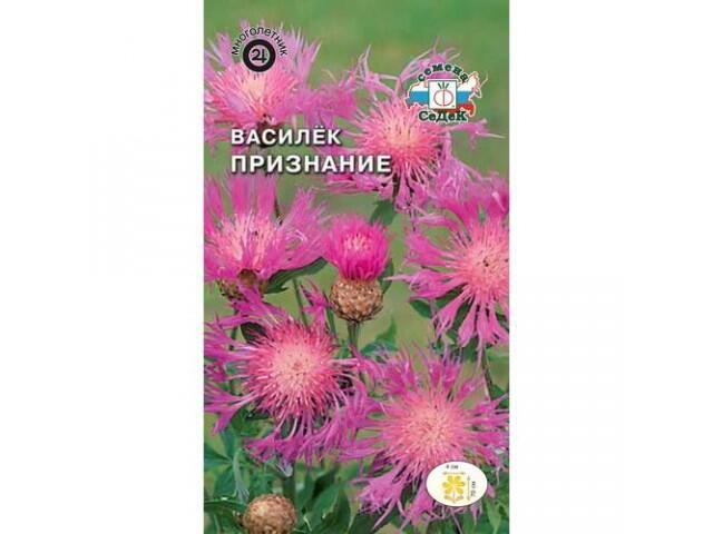 Купить оптом в Ботанике семена Василек Признание Сед бренд СеДеК