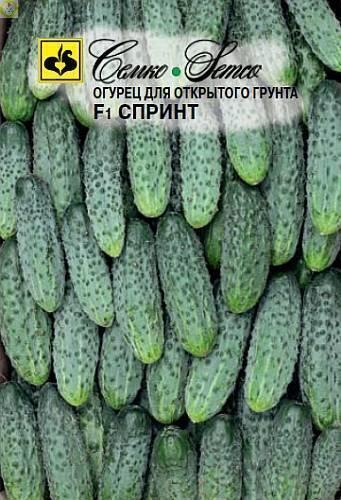 Купить оптом в Ботанике семена Огурец Спринт F1 Сем бренд Семко