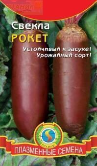 Купить оптом в Ботанике семена Свекла Рокет Плз бренд Плазмас