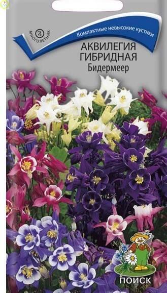 Купить оптом в Ботанике семена Аквилегия Бидермеер гибридная Поиск бренд Поиск