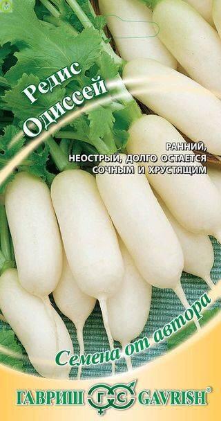 Купить оптом в Ботанике семена Редис Одиссей автор. Гав бренд Гавриш