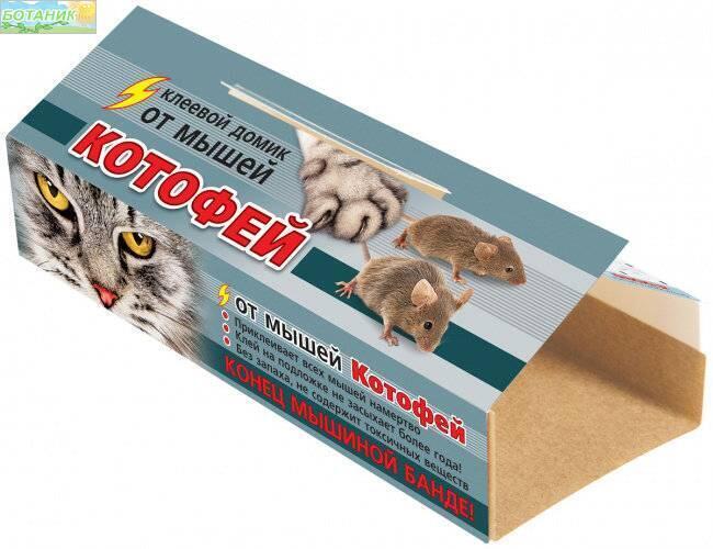 Купить оптом в Ботанике Клеевой домик Котофей (200)