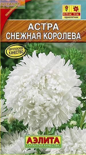Купить оптом в Ботанике семена Астра Снежная королева Аэл бренд Аэлита